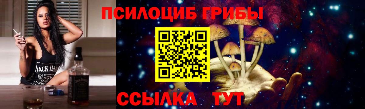 Горячий Ключ  Галлюциногенные грибы прущие грибы  Вход с VPN 